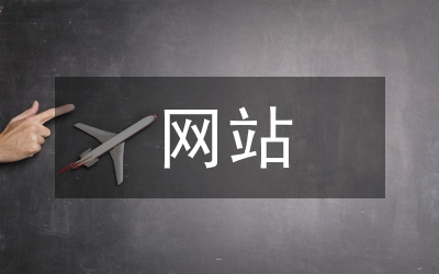 網(wǎng)站調(diào)查報(bào)告