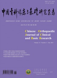 中國骨科臨床與基礎(chǔ)研究